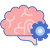 brain